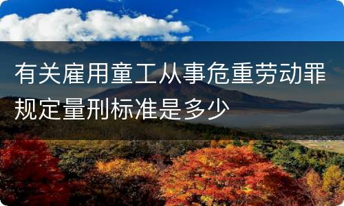 有关雇用童工从事危重劳动罪规定量刑标准是多少