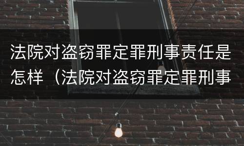 法院对盗窃罪定罪刑事责任是怎样（法院对盗窃罪定罪刑事责任是怎样认定的）