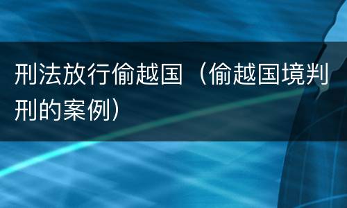 刑法放行偷越国（偷越国境判刑的案例）