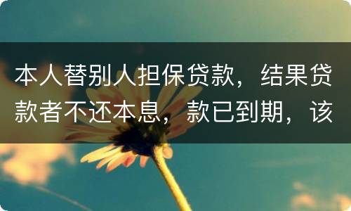 本人替别人担保贷款，结果贷款者不还本息，款已到期，该怎么办