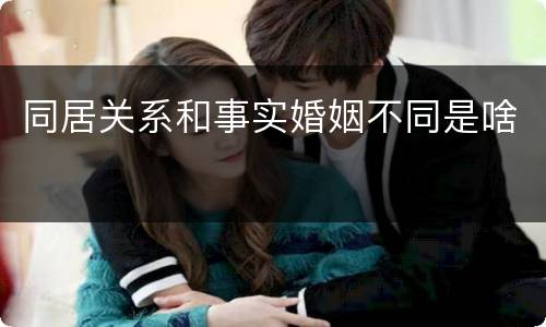 同居关系和事实婚姻不同是啥