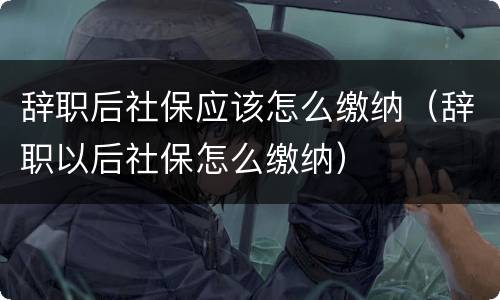 辞职后社保应该怎么缴纳（辞职以后社保怎么缴纳）
