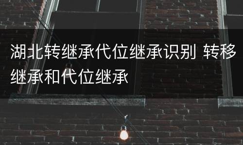 湖北转继承代位继承识别 转移继承和代位继承