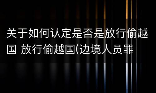 关于如何认定是否是放行偷越国 放行偷越国(边境人员罪