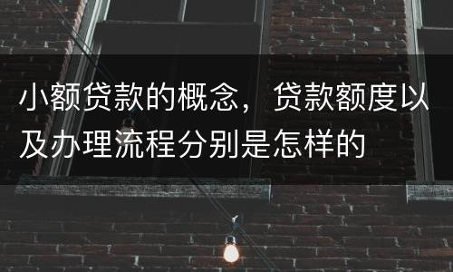 小额贷款的概念，贷款额度以及办理流程分别是怎样的