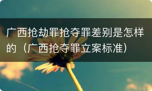广西抢劫罪抢夺罪差别是怎样的（广西抢夺罪立案标准）