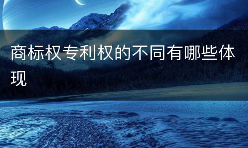 商标权专利权的不同有哪些体现