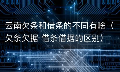 云南欠条和借条的不同有啥（欠条欠据 借条借据的区别）