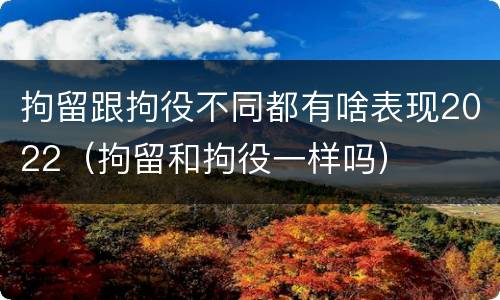 拘留跟拘役不同都有啥表现2022（拘留和拘役一样吗）