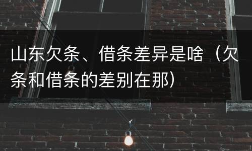 山东欠条、借条差异是啥（欠条和借条的差别在那）