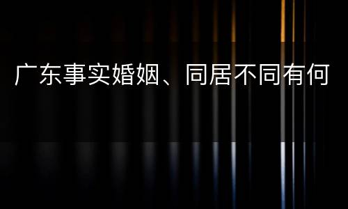 广东事实婚姻、同居不同有何