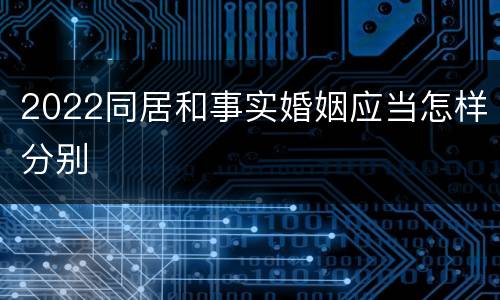 2022同居和事实婚姻应当怎样分别