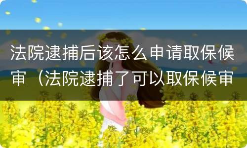 法院逮捕后该怎么申请取保候审（法院逮捕了可以取保候审吗）