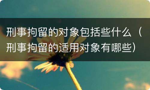 刑事拘留的对象包括些什么（刑事拘留的适用对象有哪些）