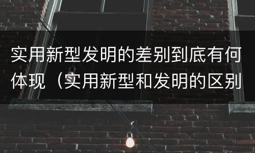 实用新型发明的差别到底有何体现（实用新型和发明的区别）