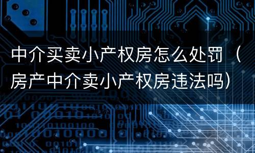 中介买卖小产权房怎么处罚（房产中介卖小产权房违法吗）