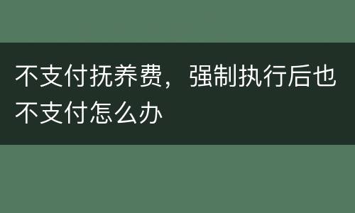 不支付抚养费，强制执行后也不支付怎么办