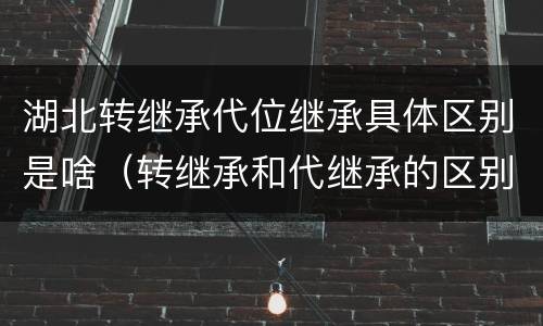 湖北转继承代位继承具体区别是啥（转继承和代继承的区别）