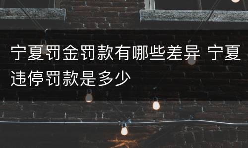 宁夏罚金罚款有哪些差异 宁夏违停罚款是多少