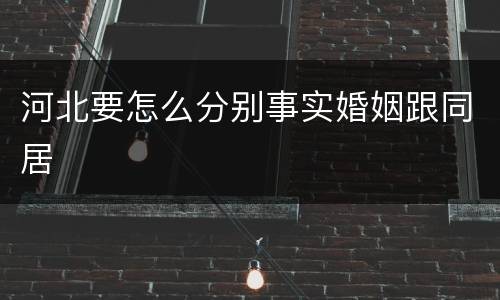 河北要怎么分别事实婚姻跟同居