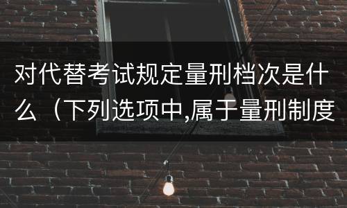 对代替考试规定量刑档次是什么（下列选项中,属于量刑制度的有）