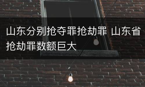 山东分别抢夺罪抢劫罪 山东省抢劫罪数额巨大