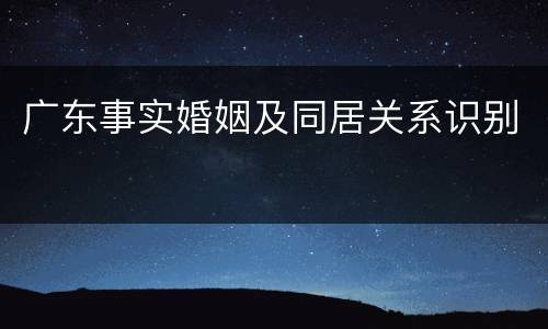 广东事实婚姻及同居关系识别