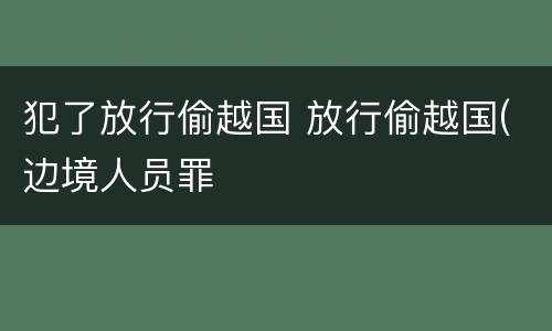 犯了放行偷越国 放行偷越国(边境人员罪