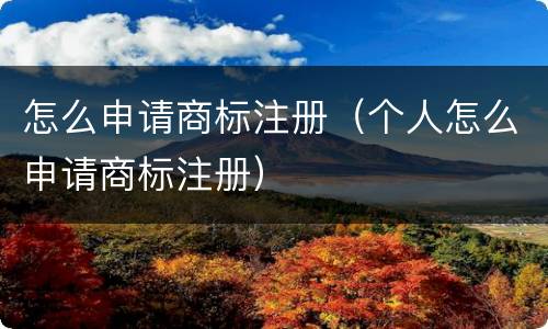 怎么申请商标注册（个人怎么申请商标注册）