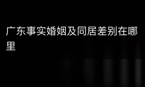 广东事实婚姻及同居差别在哪里