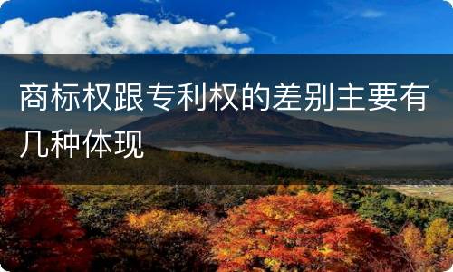 商标权跟专利权的差别主要有几种体现