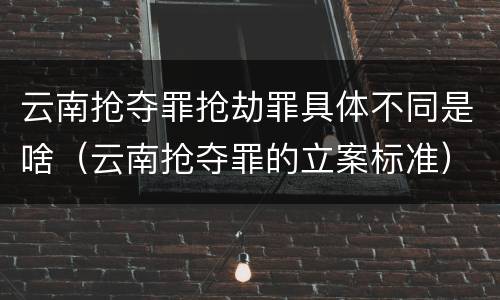 云南抢夺罪抢劫罪具体不同是啥（云南抢夺罪的立案标准）