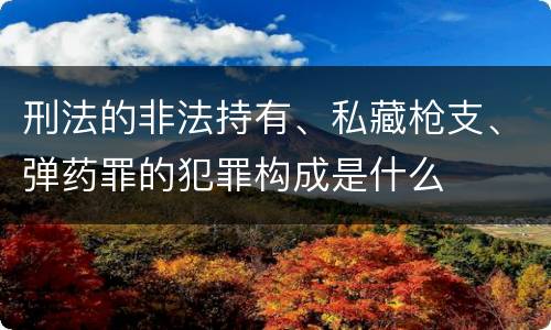 刑法的非法持有、私藏枪支、弹药罪的犯罪构成是什么