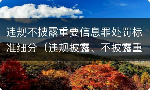 违规不披露重要信息罪处罚标准细分（违规披露、不披露重要信息罪追诉标准）