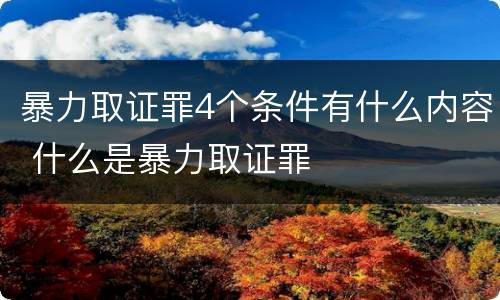暴力取证罪4个条件有什么内容 什么是暴力取证罪