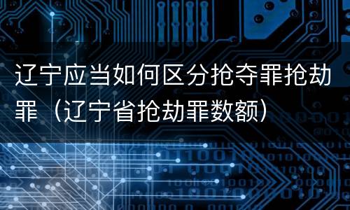 辽宁应当如何区分抢夺罪抢劫罪（辽宁省抢劫罪数额）