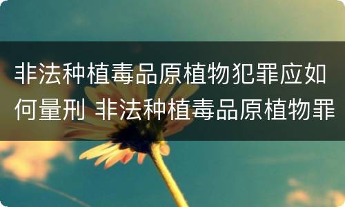 非法种植毒品原植物犯罪应如何量刑 非法种植毒品原植物罪量刑标准