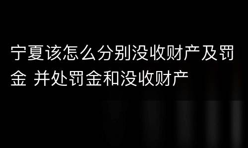 宁夏该怎么分别没收财产及罚金 并处罚金和没收财产