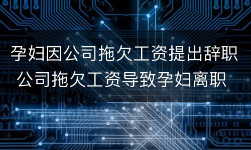 孕妇因公司拖欠工资提出辞职 公司拖欠工资导致孕妇离职