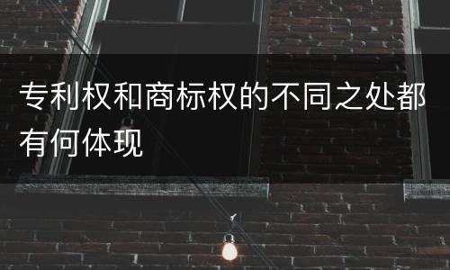 专利权和商标权的不同之处都有何体现