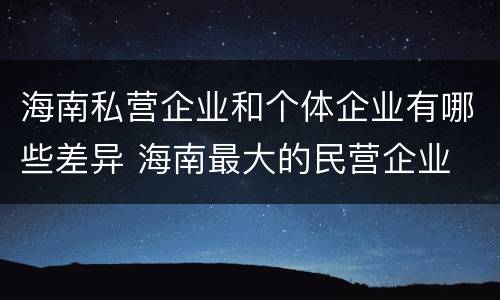 海南私营企业和个体企业有哪些差异 海南最大的民营企业