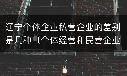 辽宁个体企业私营企业的差别是几种（个体经营和民营企业的区别）