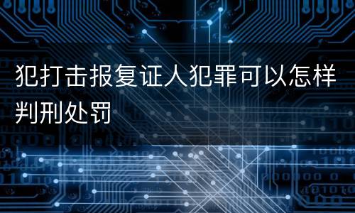 犯打击报复证人犯罪可以怎样判刑处罚