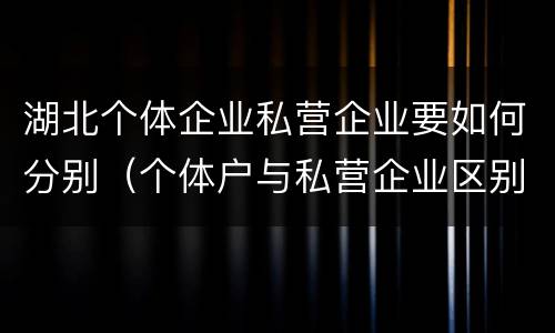 湖北个体企业私营企业要如何分别（个体户与私营企业区别）