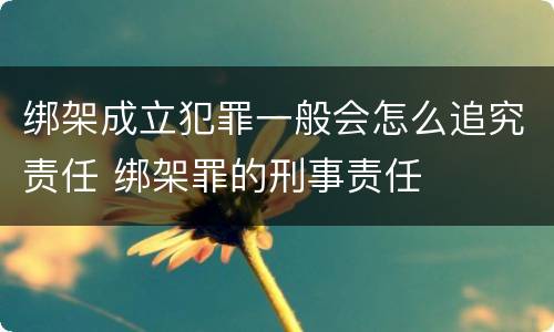 绑架成立犯罪一般会怎么追究责任 绑架罪的刑事责任