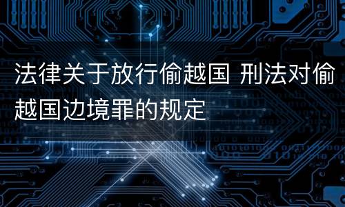 法律关于放行偷越国 刑法对偷越国边境罪的规定