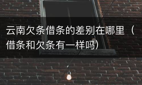云南欠条借条的差别在哪里（借条和欠条有一样吗）