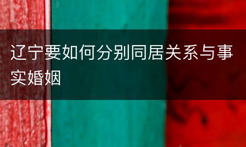 辽宁要如何分别同居关系与事实婚姻
