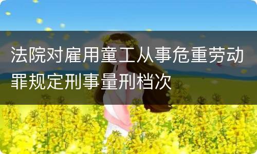法院对雇用童工从事危重劳动罪规定刑事量刑档次