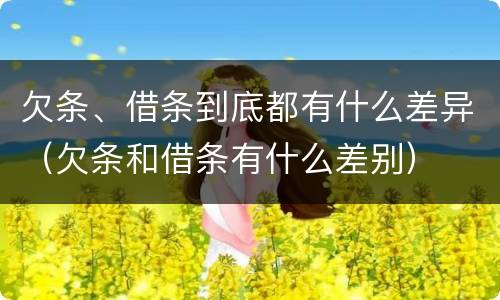 欠条、借条到底都有什么差异（欠条和借条有什么差别）
